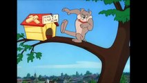 Tom and Jerry_  The Dog House / توم وجيري