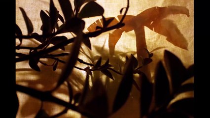 Oubliez tous vos soucis - Mobile Film Festival 2018