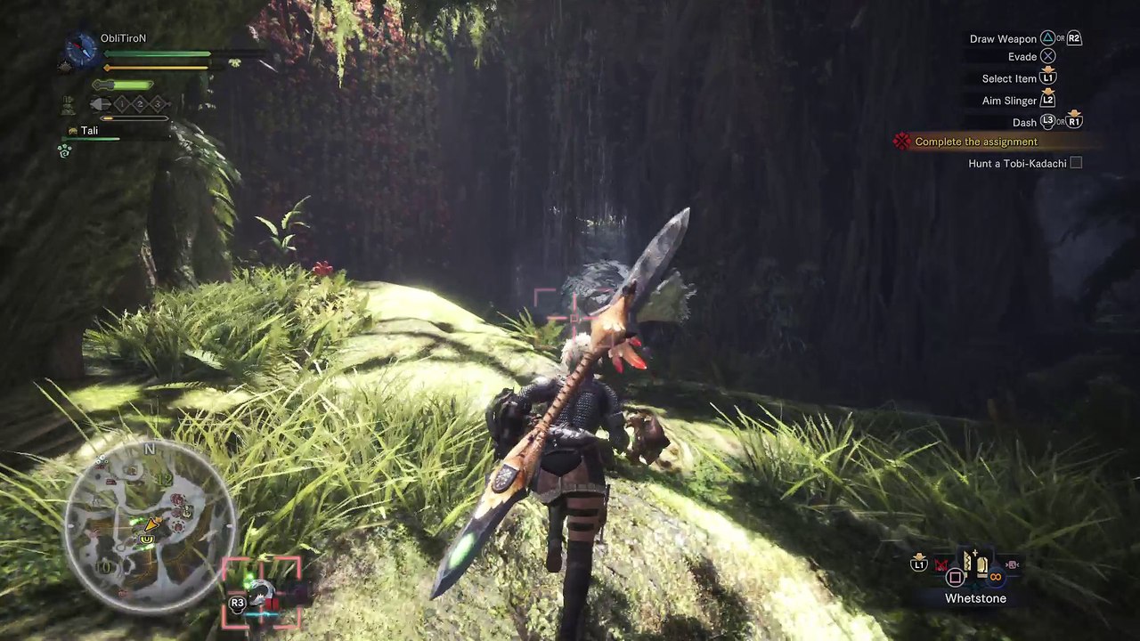 Monster Hunter: World_20180129161224