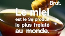 Dilué, coupé, mal étiqueté... Le Parlement européen veut en finir avec le miel frelaté
