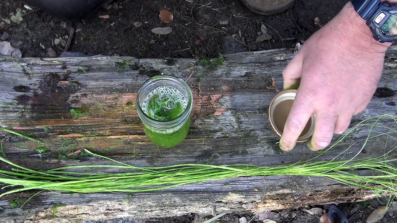 Yucca Cordage