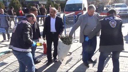 Şanlıurfa Suriyelilerden Harekata Zeytin Dallı Destek