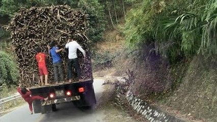 Des enfants volent de la cane à sucre d'une remorque (Vietnam)