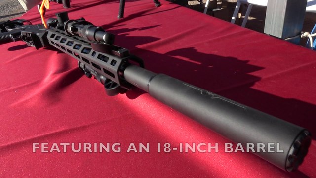 Ruger Precision Rimfire Rifle in 22 LR