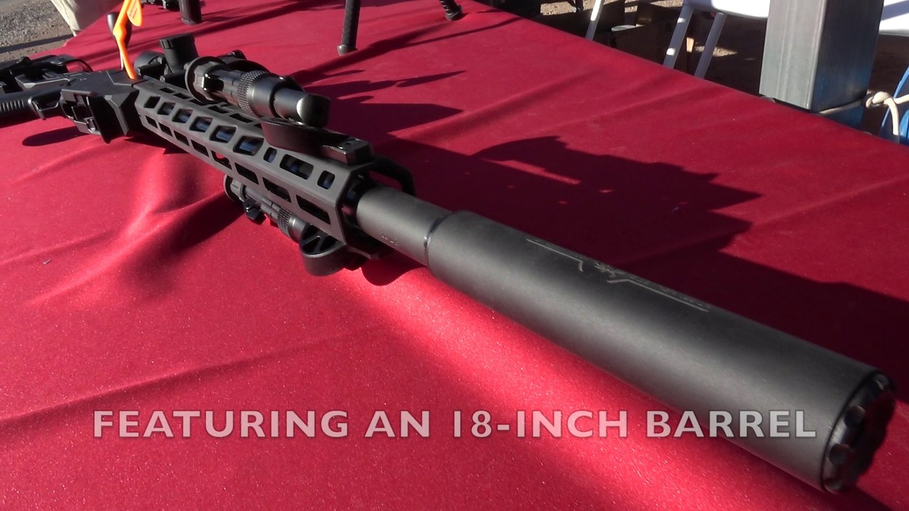 Ruger Precision Rimfire Rifle in  22 LR