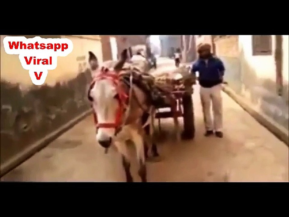 Whatsapp Viral V - Indian Funny Top Viral - desi Fun