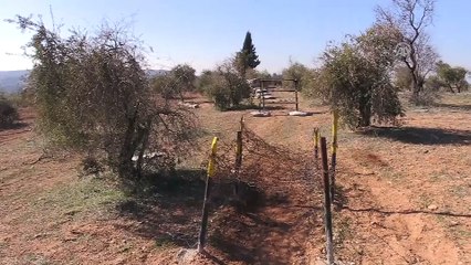 Afrin'de teröristlerin gizlendiği bir tünel daha bulundu - AZEZ