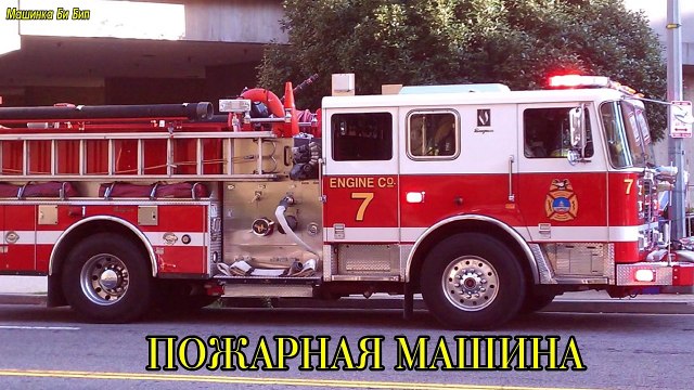 Развивающий мультик о животных на ферме Как говорят разные животные