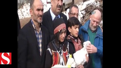 Hamdu Sena bu kez hasta buzağısıyla birlikte uyuduğu fotoğrafı ile dikkat çekti