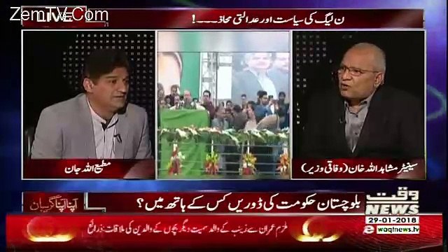 Apna Apna Gareban – 29th January 2018