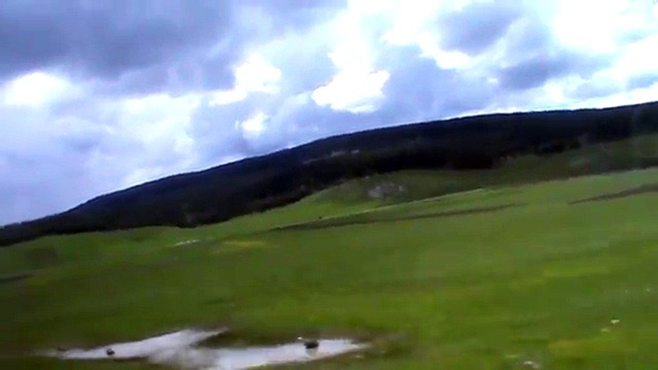 KARS SARIKAMIŞ ORMANLARI
