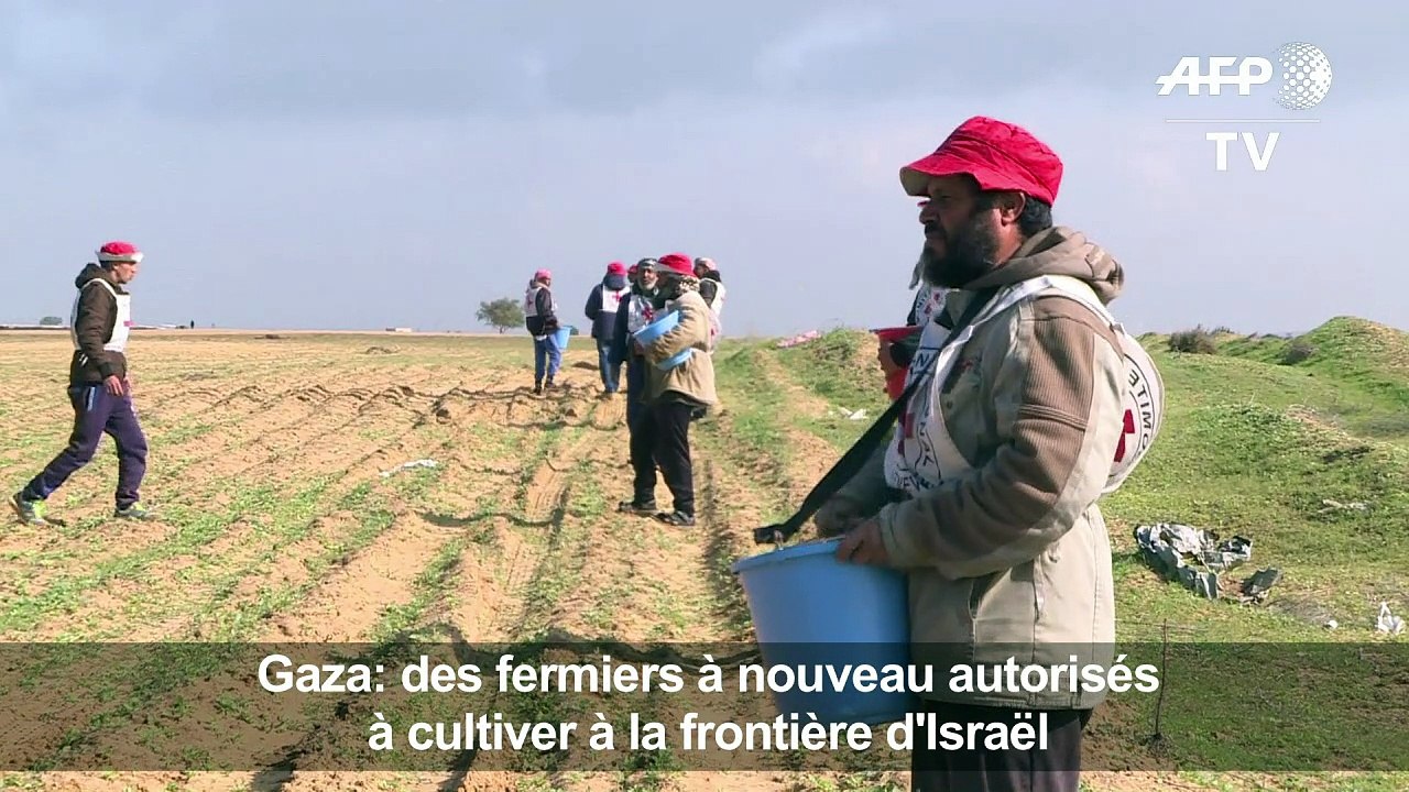 Gaza: des fermiers autorisés de nouveau à cultiver leurs terres