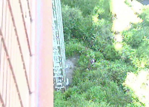 Quito: encuentran el cadáver de un hombre en Quito