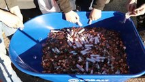 I Bought A Car Using Only Pennies