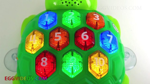 Learn Colors Learn to Count Turtle Toy Play Doh Fun & Creative for Kids Surprise Toys EggVideos.com