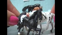 Foaling Fear 8 (ER Visit) Breyer Mini Whinnies Series Video - Honeyheartsc