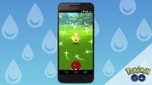 Pokémon GO - Shiny Magikarp Spotted!