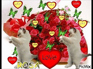 Catalin Crisan - Sarut Mana Doamna Mea