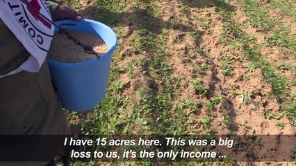 Gazans farm along Israeli border for first time since 2006