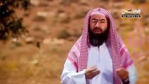 الشيخ نبيل العوضى - السيرة النبوية - الحلقة 4