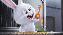 The Secret Life of Pets FULL MOVIE
