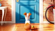 Watch The Secret Life of Pets FULL MOVIE Online