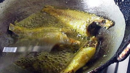 Vetki maach fry !! making vetki maach fry in the kitchen!!Vetki fish fry in the kitchen!! How to cook vetki fish fry