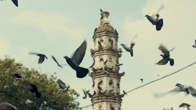 Sarah Jane Adams: The Question of Home | Shes Mercedes.