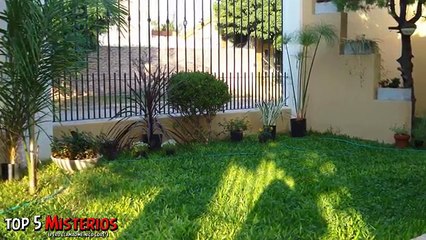 7 COSAS INCREÍBLES ENCONTRADAS ENTERRADAS EN PATIOS TRASEROS!