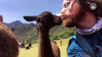 Best Pets of The Week | January 2018 Week 2