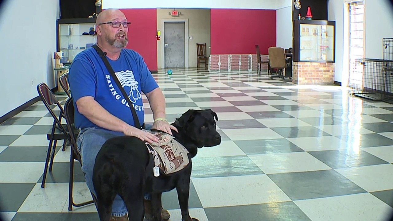 Veteran Says He Can`t Bring Service Dog to Work Because She is Part