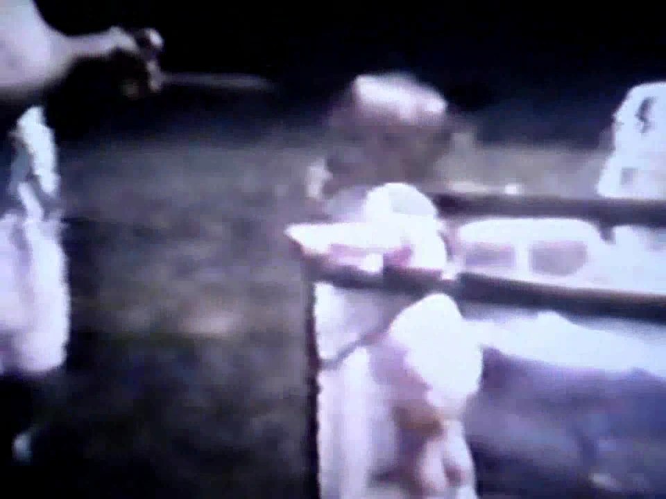 Born to be on Dailymotion video Robert's youth volume 2
