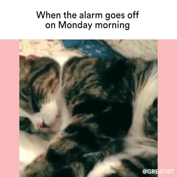 Not Today Satan