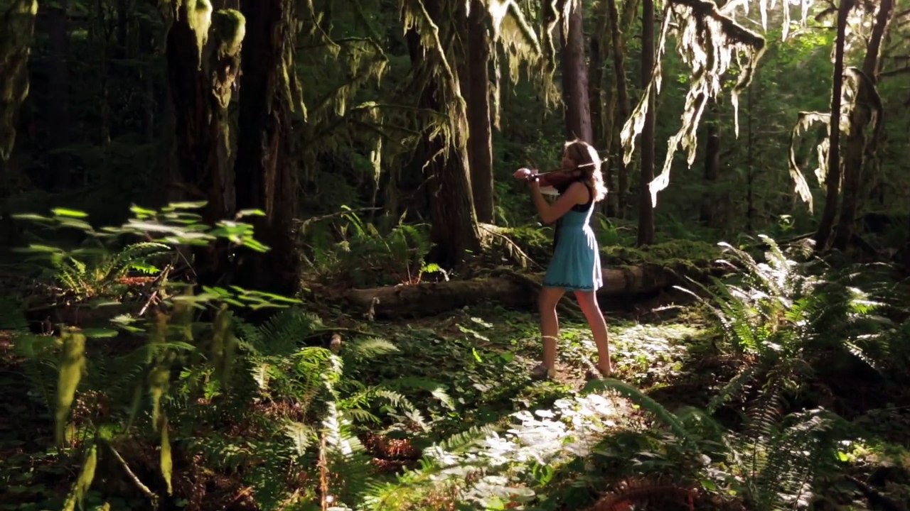 Colors of the Wind (From Disney's  Pocahontas ) - Violin Cover - Taylor Davis