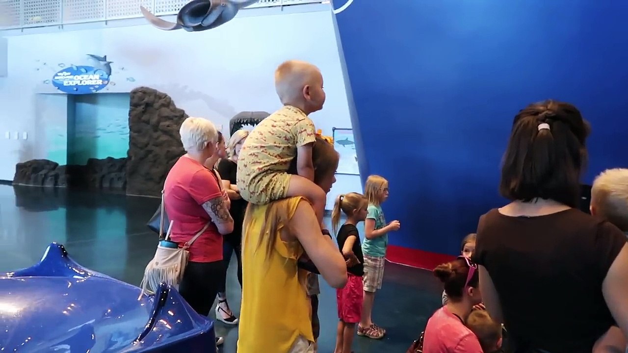 THE FLOOR IS LAVA!! | AT THE AQUARIUM!
