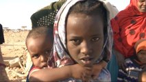 Somalia: Government plans to reduce famine threat