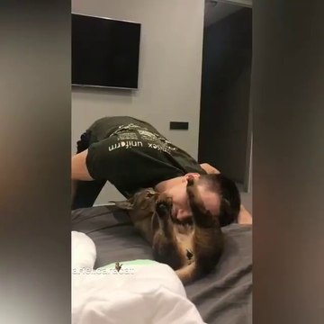 Il joue avec son très très gros chat... Caracal domestique adorable