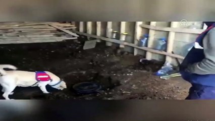 Yüksekova'da 52 kilogram eroin ele geçirildi - HAKKARİ