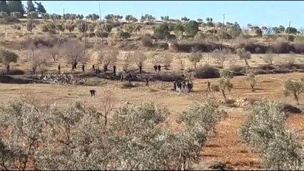 Kilis'te Zeytin Bahçesine Roket Düştü