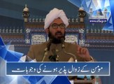 مومن کے زوال پذیر ہونے کی وجوہات [گفتگو: صاحبزادہ سلطان احمد علی صاحب ]