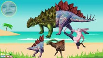 Wrong Heads Dinosaurs! Ankylosaurus Parasaurolophus Stegosaurus T Rex Learning Dinosaurs For Kids.