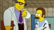 Homer Simpson - No conozcon ningun Ned Flanders