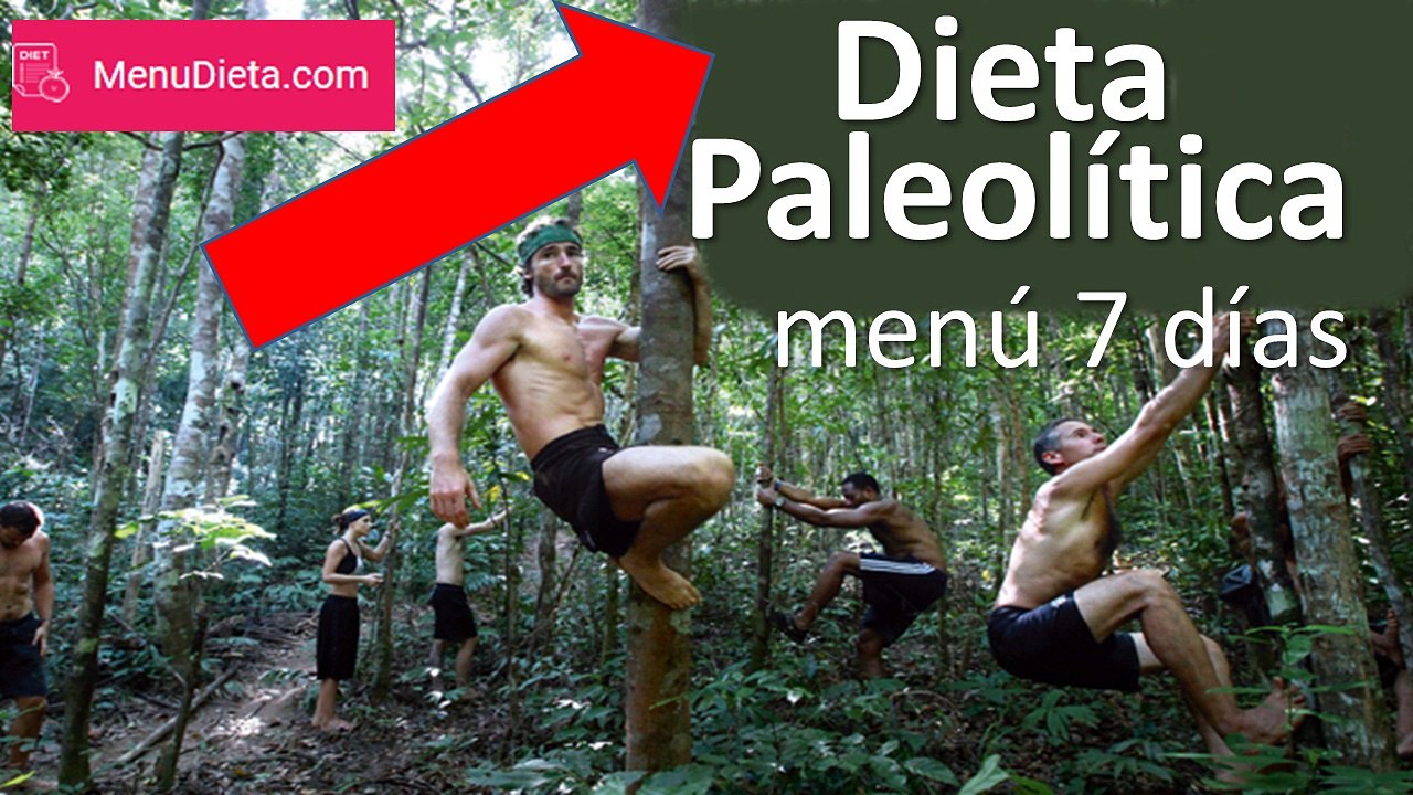 Dieta Paleo. Menú para bajar kilos - La clave para Bajar de Peso