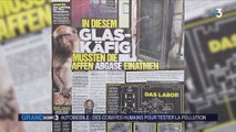 Diesel : nouveau scandale pour Volkswagen, BMW et Mercedes