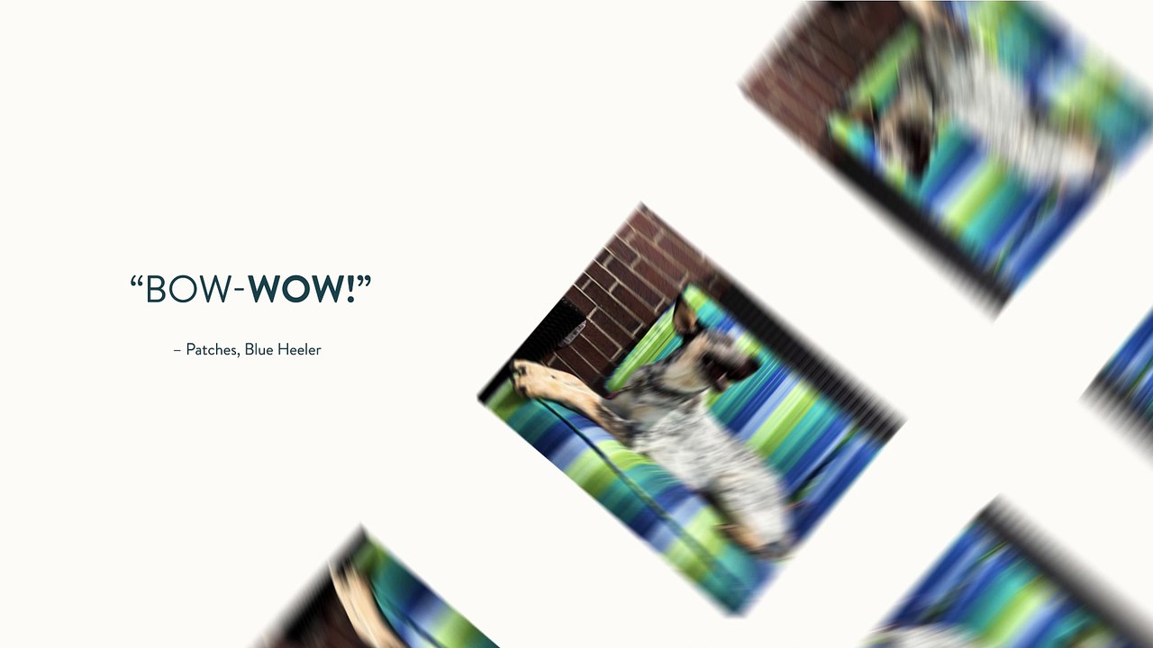 PetFriendly Hotels in Bloomington, MN Bloomington, Minnesota, United