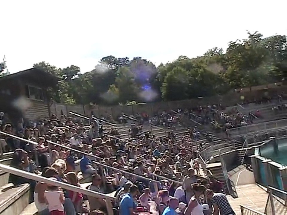 Zoo Amnéville-Otaries (1)