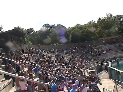 Zoo Amnéville-Otaries (1)