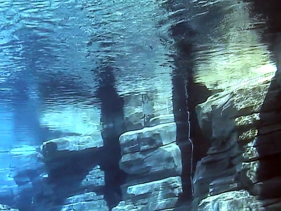 Zoo Amnéville-Manchots de Humboldt (2)