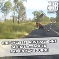 Un kangourou bondit sur une cycliste et la fait chuter