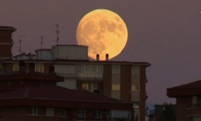 Rabu (31/1), 3 Gerhana Bulan Terjadi dalam 1 Malam